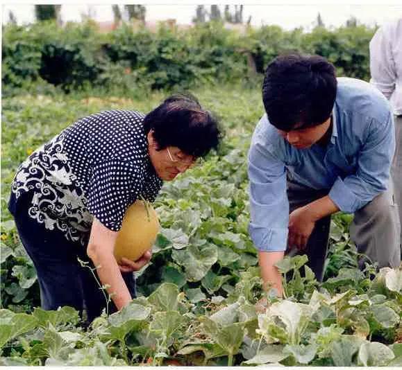 川交院吃瓜,揭秘校园里的“瓜田”风云