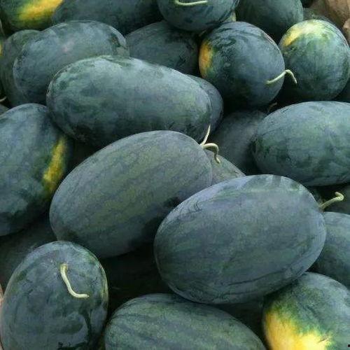 林诺诺的吃瓜路,揭秘娱乐圈的吃瓜达人之路