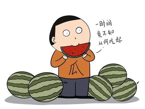 吃瓜君英语,Eating Watermelons: A Journey into the World of English Learning