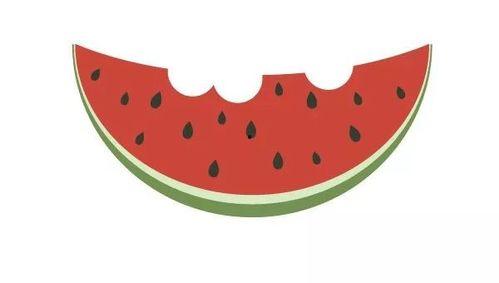 画西瓜地里吃瓜