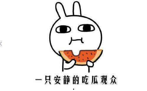 吃瓜少年啥意思,网络热词背后的文化现象