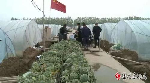 吃瓜群众宿迁人,吃瓜群众的独特视角