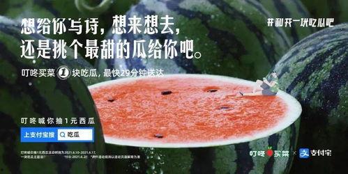 啃着吃瓜文案怎么写,轻松撰写啃着吃瓜文案的秘诀