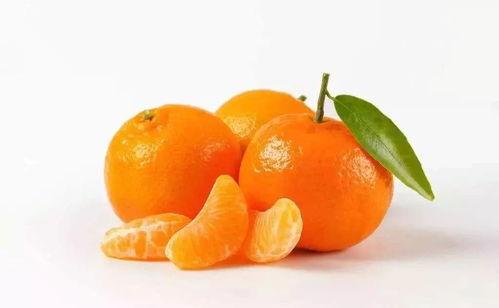 桔子能同茄瓜一起吃吗,桔子与茄瓜同食的兼容性探讨