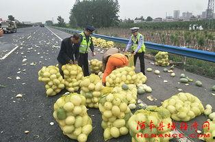 夏邑吃瓜群众,揭秘当地生活百态