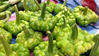 吃瓜叶七七,探寻网络红人的魅力与影响力