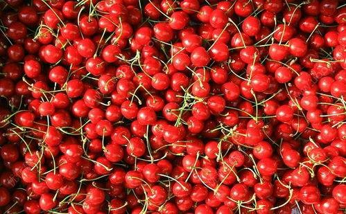 留学吃瓜樱桃,揭秘留学生活中的樱桃美食之旅