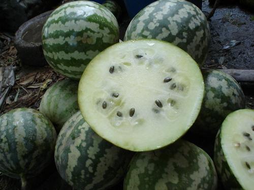 绿宝瓜怎么炒菜吃