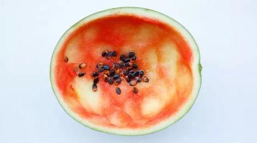 吃瓜用大勺子,畅享夏日清凉新体验