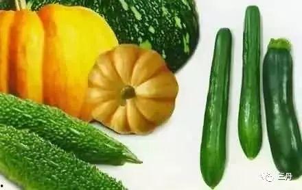 什么瓜可以调着吃