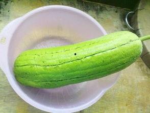 水瓜是什么瓜怎么吃,揭秘其身份与多样食用方法