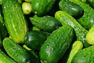 梦见自己吃酉瓜,酉瓜之味，揭秘潜意识中的甜蜜诱惑