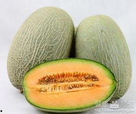 吃谷维素可以吃哈密瓜吗,健康饮食的完美搭配
