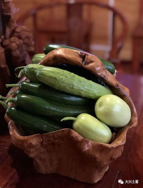 西宁康乐最新吃瓜,真相与幕后