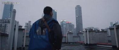 围观吃瓜音乐视频,一场视觉与听觉的双重狂欢