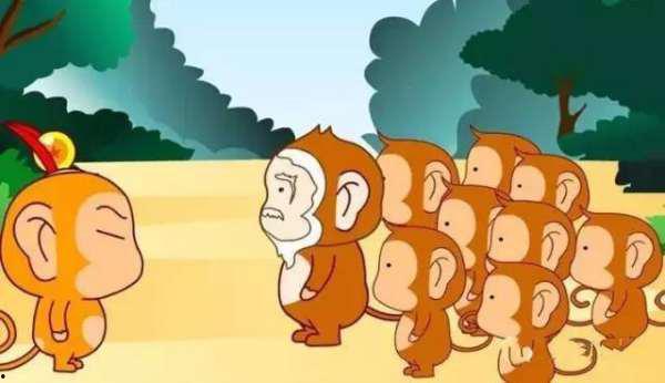 猴王吃瓜什么道理,揭示生活中的智慧与哲理