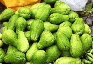 瓜哥吃瓜吃东西,吃瓜不止，品味人生