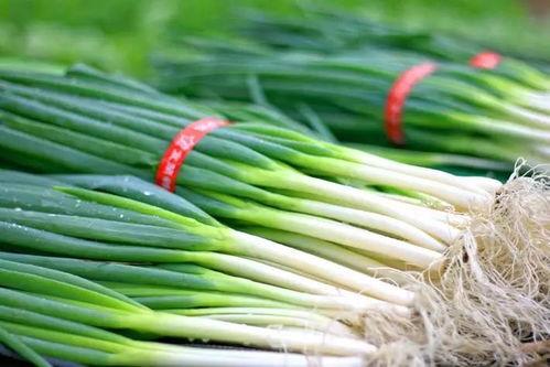 小孩吃瓜篓子,瓜篓子里的童年趣事