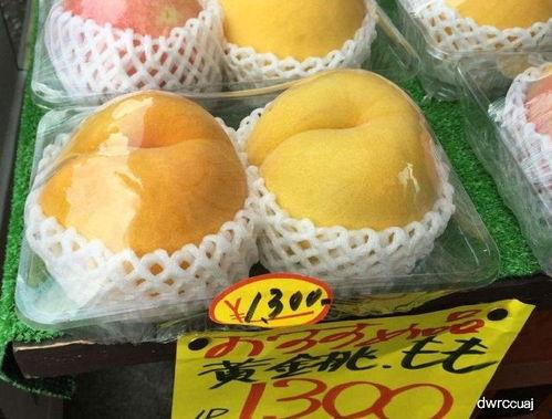 日本游客吃哈密瓜,舌尖上的西域风情体验