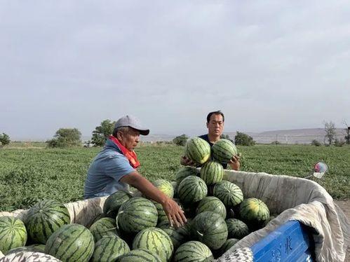 各种国家人吃瓜视频