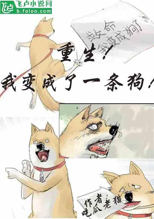 吃瓜致富小说在线阅读,从吃瓜到致富的奇幻之旅