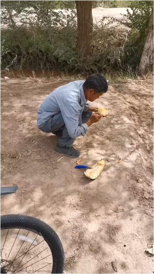 吃伽师瓜的视频,探寻伽师瓜的独特魅力