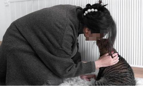 吴女士吃瓜,揭秘娱乐圈幕后故事