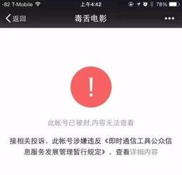 天天吃瓜公众号,天天吃瓜，揭秘明星幕后故事