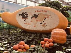 广京吃瓜,揭秘娱乐圈最新热点事件