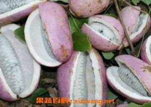 吃恩施大瓜,探寻湖北恩施的独特美食之旅