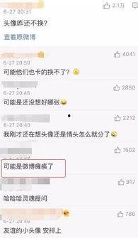 任务吃瓜后续,揭秘娱乐圈背后的真相与反转