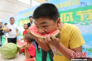 吃瓜的游客,游客眼中的夏日狂欢盛宴